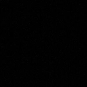 Meet your Posher, Dominick